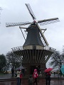 Keukenhof